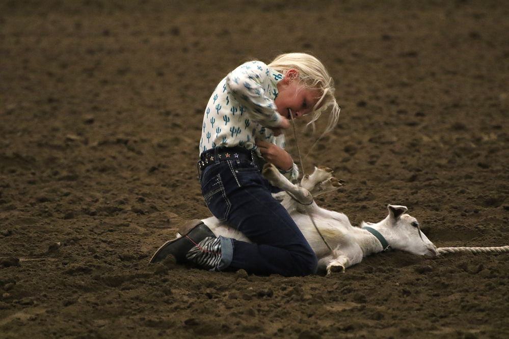 Youth Rodeo